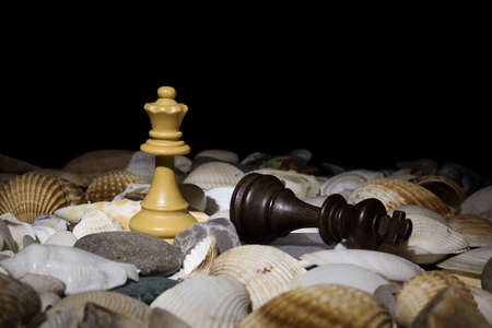 Chess photographed on a chessboard