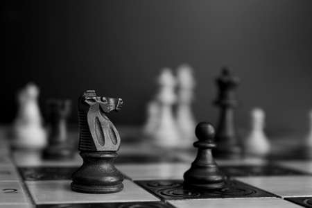 Chess photographed on a chessboardの写真素材