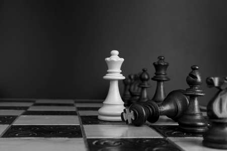 Chess photographed on a chessboardの写真素材