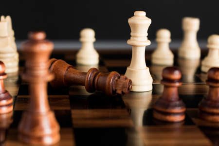 Chess photographed on a chessboard