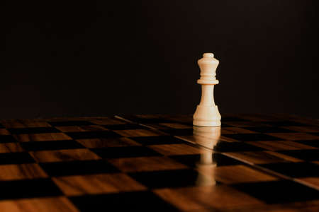 Chess photographed on a chessboard