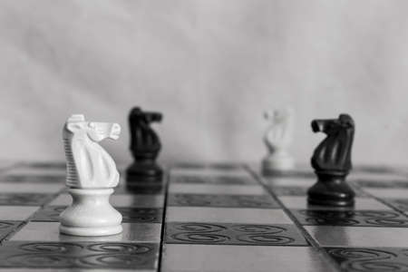 Chess photographed on a chessboardの写真素材