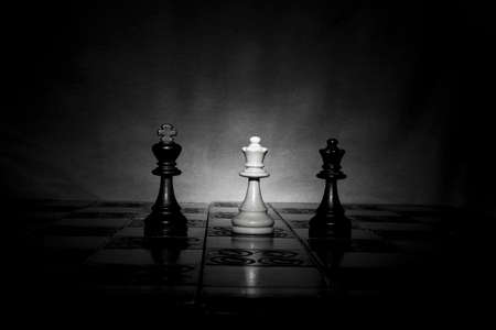 Chess photographed on a chessboardの写真素材