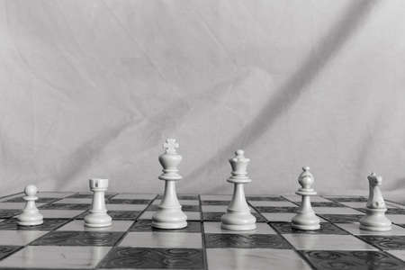 Chess photographed on a chessboardの写真素材