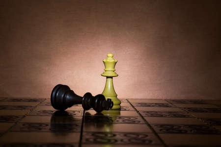 Chess photographed on a chessboard