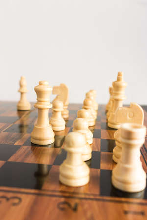 Chess photographed on a chessboard