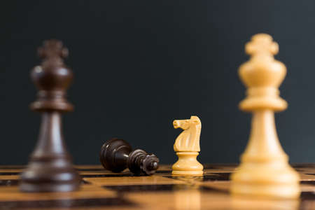 Chess photographed on a chessboard