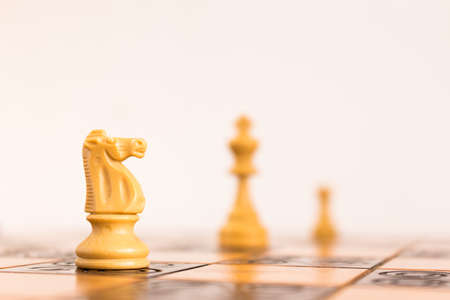 Chess photographed on a chessboard