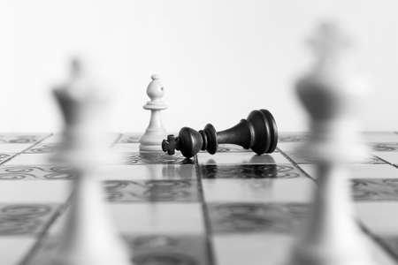 Chess photographed on a chessboardの写真素材