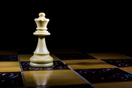 Chess photographed on a chessboard