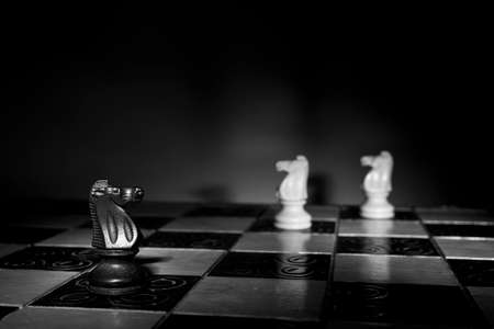 Chess photographed on a chessboardの写真素材