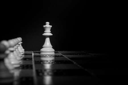 Chess photographed on a chessboardの写真素材