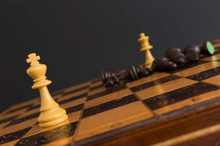 Chess photographed on a chessboard