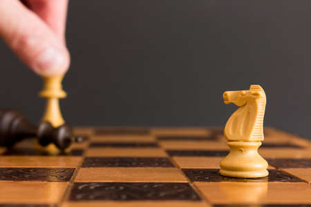 Chess photographed on a chessboard