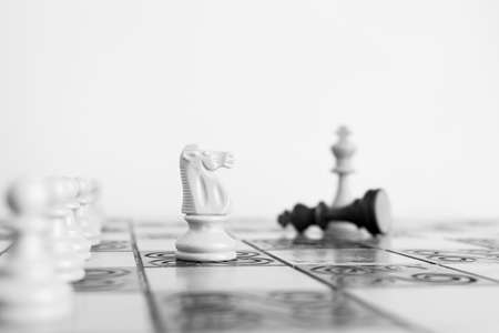 Chess photographed on a chessboardの写真素材