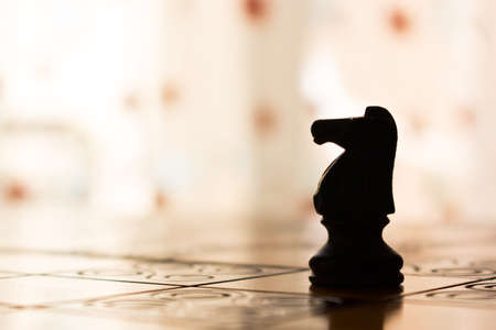 Chess photographed on a chessboard