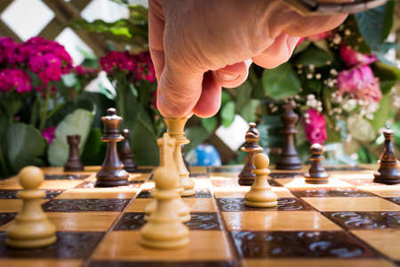 Chess photographed on a chessboard