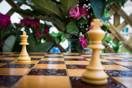 Chess photographed on a chessboardの写真素材