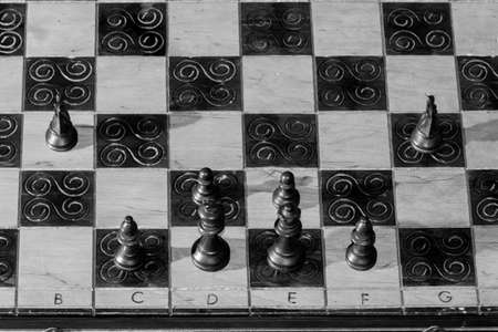 Chess photographed on a chessboardの写真素材