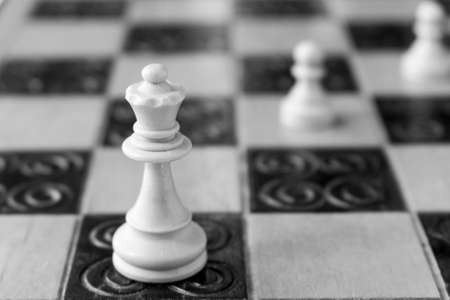 Chess photographed on a chessboardの写真素材