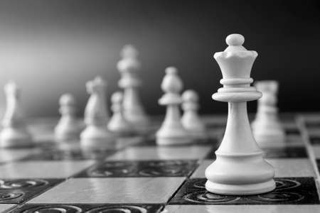 Chess photographed on a chessboardの写真素材