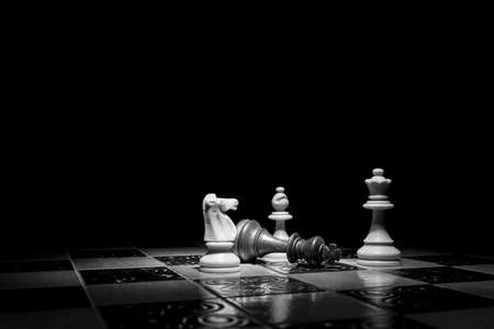 Chess photographed on a chessboardの写真素材