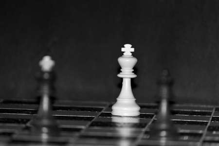 Chess photographed on a chessboardの写真素材