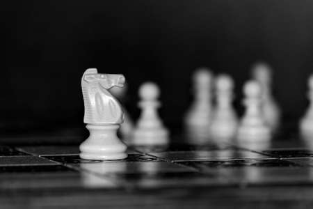 Chess photographed on a chessboardの写真素材