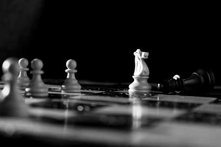 Chess photographed on a chessboard