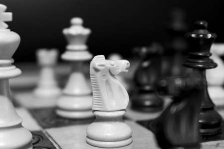 Chess photographed on a chessboardの写真素材