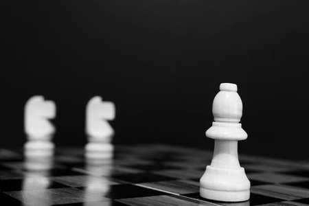 Chess photographed on a chessboard