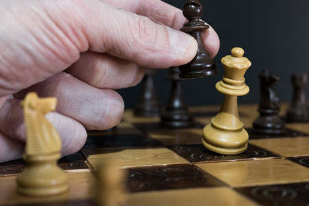 Chess photographed on a chessboardの写真素材