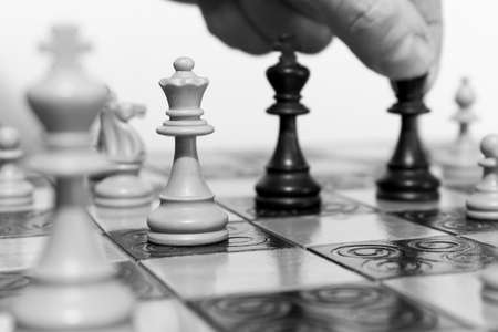 Chess photographed on a chessboardの写真素材