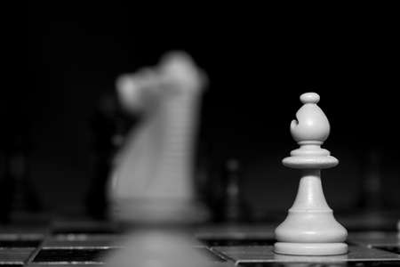 Chess photographed on a chessboardの写真素材
