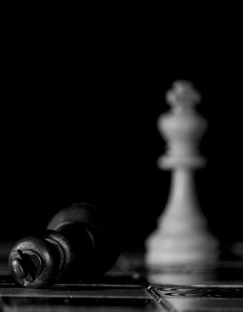 Chess photographed on a chessboard