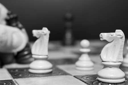 Chess photographed on a chessboardの写真素材