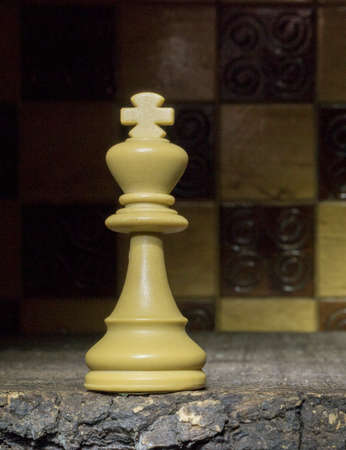 Chess photographed on a chessboard