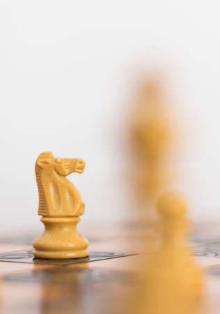 Chess photographed on a chessboard