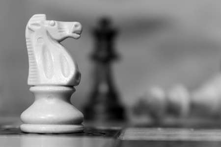 Chess photographed on a chessboardの写真素材