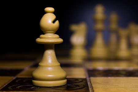 Chess photographed on a chessboardの写真素材