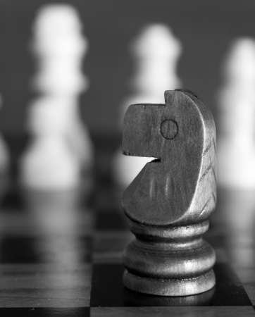 Chess photographed on a chessboardの写真素材