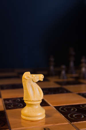 Chess photographed on a chessboardの写真素材