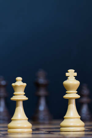 Chess photographed on a chessboard