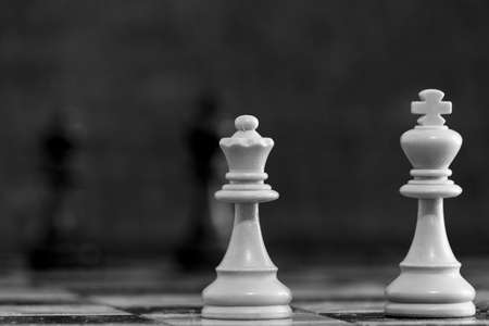 Chess photographed on a chessboardの写真素材