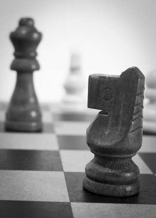 Chess photographed on a chessboardの写真素材