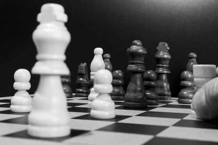 Chess photographed on a chessboardの写真素材
