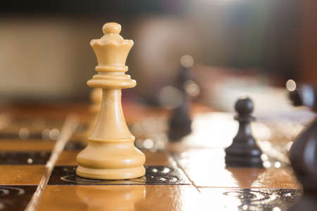Chess photographed on a chessboardの写真素材