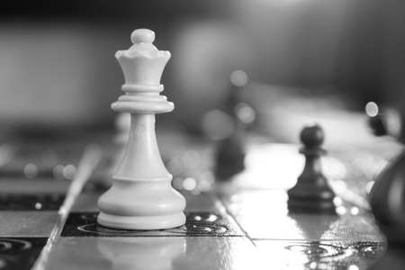 Chess photographed on a chessboardの写真素材