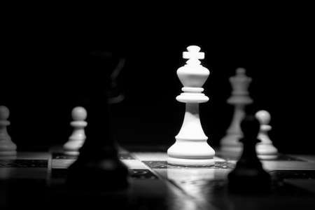Chess photographed on a chessboardの写真素材