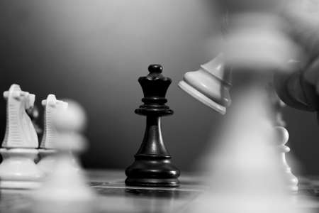 Chess photographed on a chessboardの写真素材